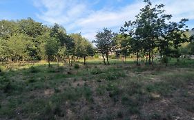Location Saisonniere Curiste