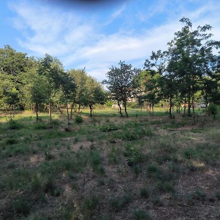 Apartamento Location Saisonniere Curiste Montesquieu  Exterior foto