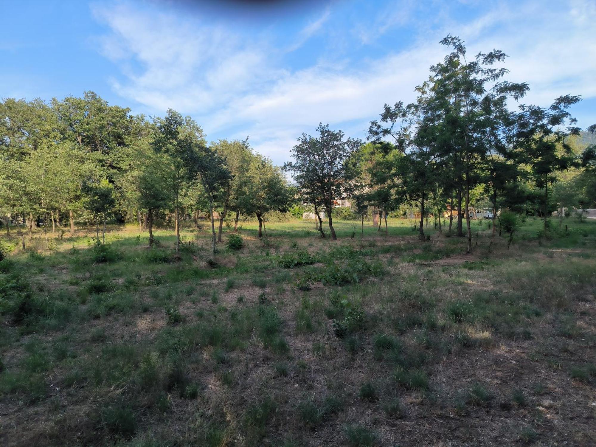 Apartamento Location Saisonniere Curiste Montesquieu  Exterior foto